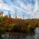 Illustration for article titled Fall Photos 1